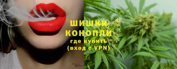 СК Балахна