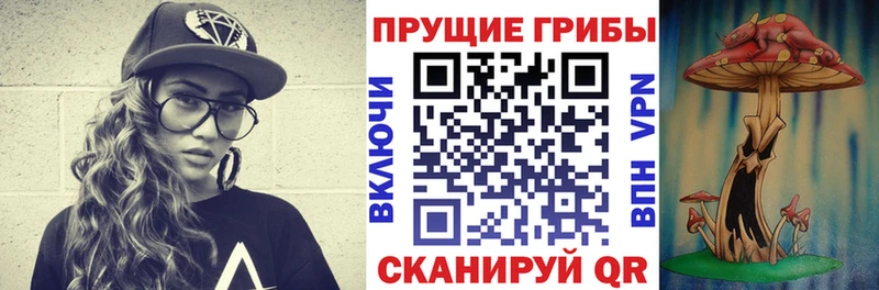 ОМГ ОМГ   Озёры  Псилоцибиновые грибы ЛСД 